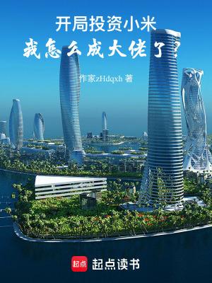 开局投资小米我怎么成大佬了123