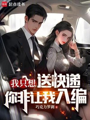 我只想送快递你非让我入编书评