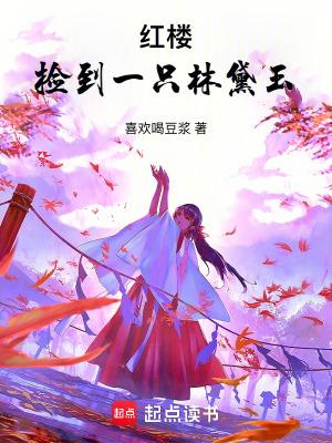 红楼捡到一只林黛玉起点中文网