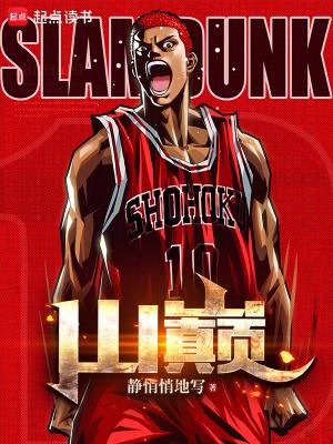 有人扶我青云志我自踏雪至山巅