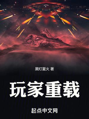 玩家重载精校版txt无错