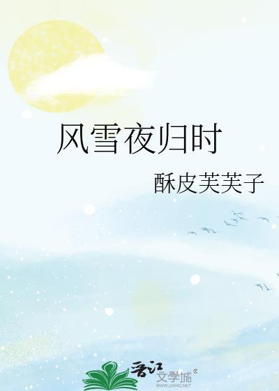 风雪夜归时宋斯砚