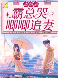 离婚后霸总天天想娶我完整版免费阅读