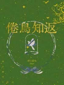 倦鸟知返by失灵全文