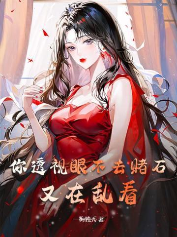 你透视眼不去赌石又在乱看(一梅独秀)_TXT