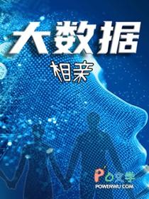 大数据恋人