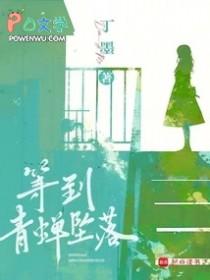 等到青蝉坠落全文txt