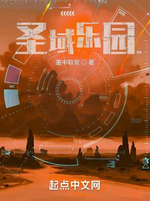 圣域游戏视频