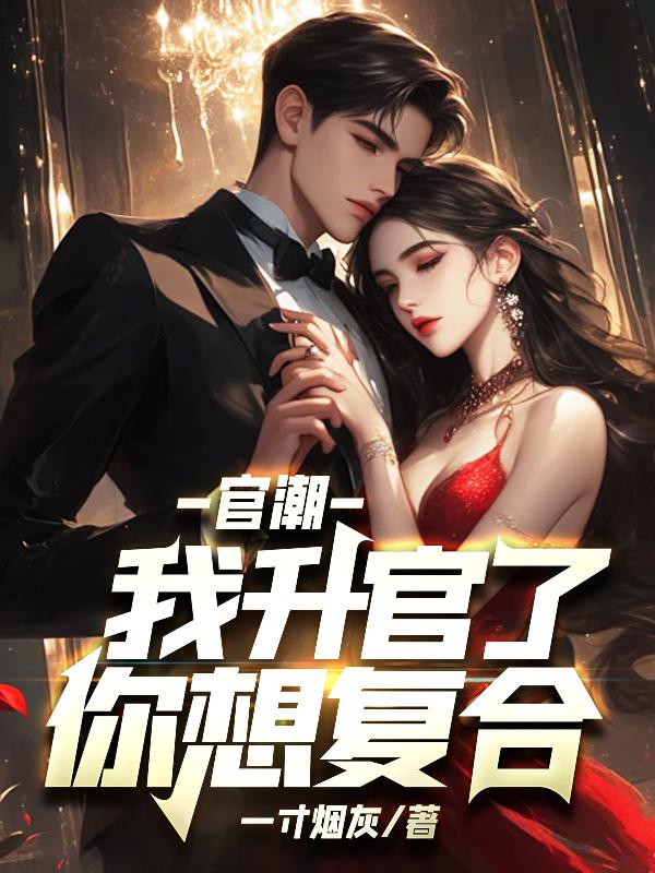 我升官了你想复合? 书旗