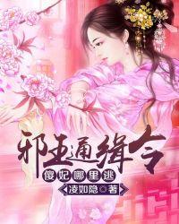 邪王通缉傻妃