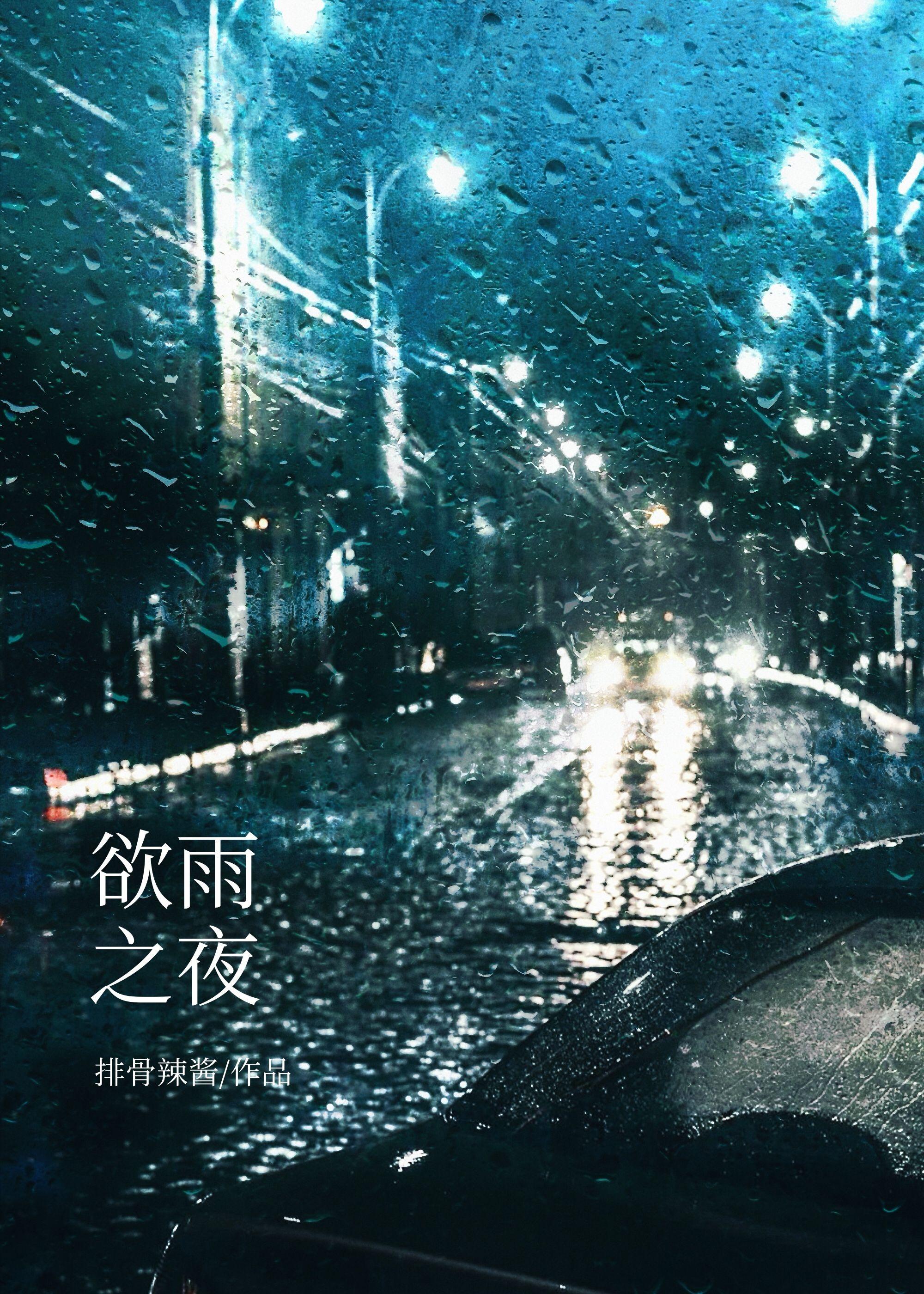 欲雨之夜周止原免费阅读
