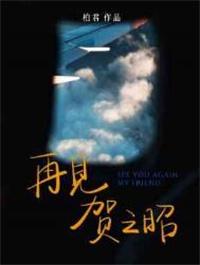 再见贺之昭剧情