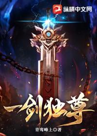 一剑独尊第九楼是什么身份
