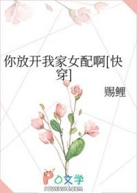 你放开了我歌