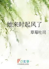 她来时携风带雨我无处可避她走时乱了四季我久病难医