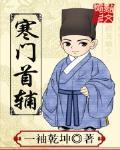 寒门首辅逆袭记