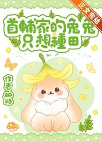 首辅宠妻日常白兔奶糖txt