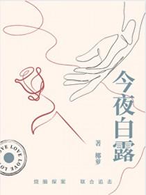 小镇迷踪剧情介绍