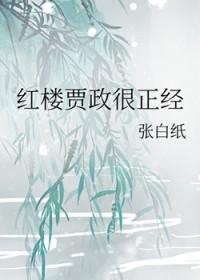 红楼之贾政姨娘