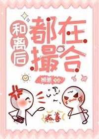 和离之后再高嫁的