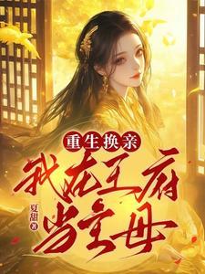 重生换亲我在王府当主母短剧免费观看