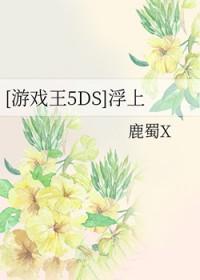 游戏王5ds日常篇