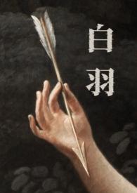 白羽肉鸡苗价格微降