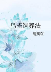 海贼王乌贼