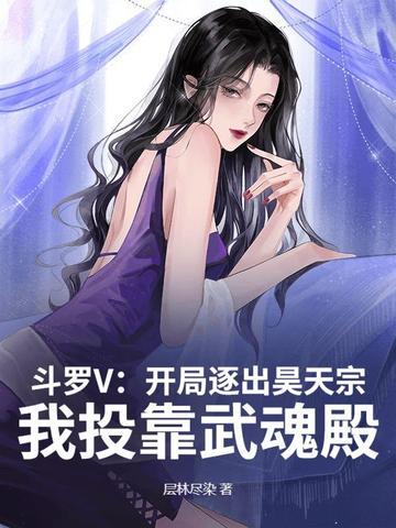 斗罗开局成了昊天斗罗