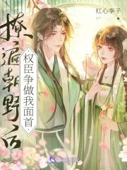 凤髓讲什么