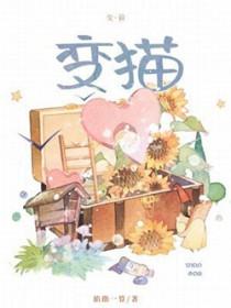 变猫计500字作文