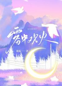 雾里观花