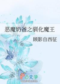 宠物小精灵衍生