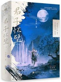 君子怀璧TXT百度
