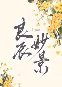 良辰美景的下一句是什么