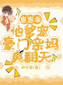 崽崽顶点
