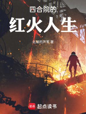 四合院的红火人生笔趣阁免费阅读