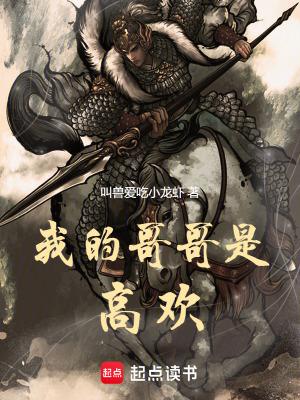 我的哥哥是高欢奇书网