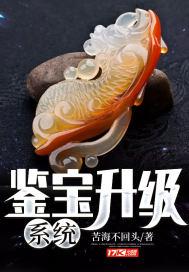 鉴宝技术