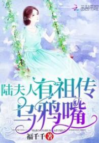 陆夫人有祖传乌鸦全文免费阅读完结
