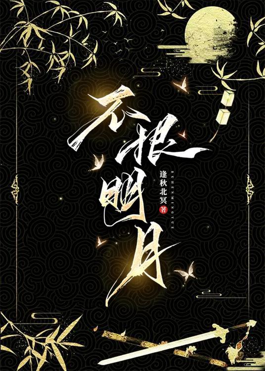 不恨明月不再独照我