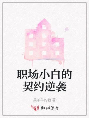 职场小白的进阶之路