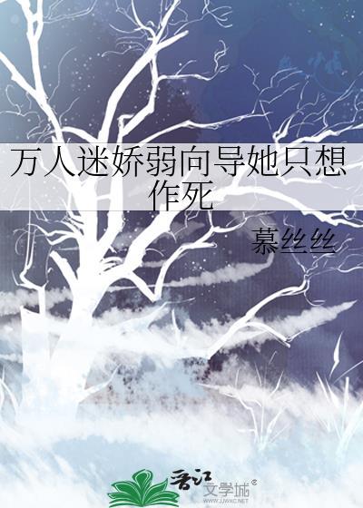 万人迷向导的