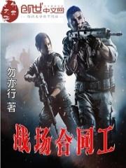 战场合同工原著阅读