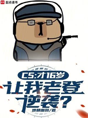 CS才16岁让我老登逆袭txt