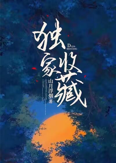 收藏家作品