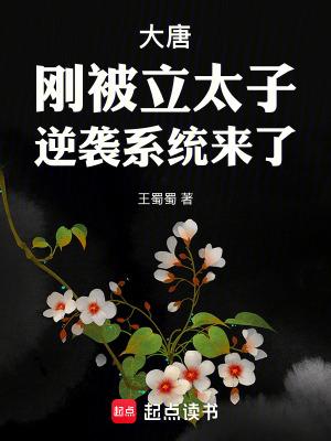 大唐开局被迫当太子卡夜