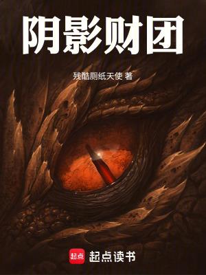 阴影财团 无防盗