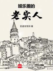 娱乐圈的老实人笔趣阁免费阅读