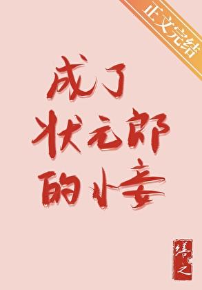 成了状元郎的小妾 番外
